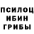 Псилоцибиновые грибы мицелий Fedka 1