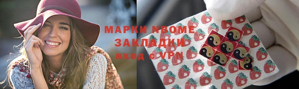хмурый Алзамай
